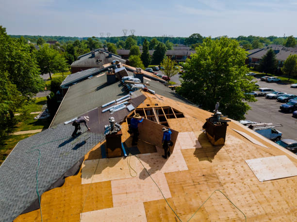 Best Storm Damage Roof Repair  in Hoopers Creek, NC